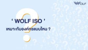 WOLF ISO เหมาะกับองค์กรแบบไหน