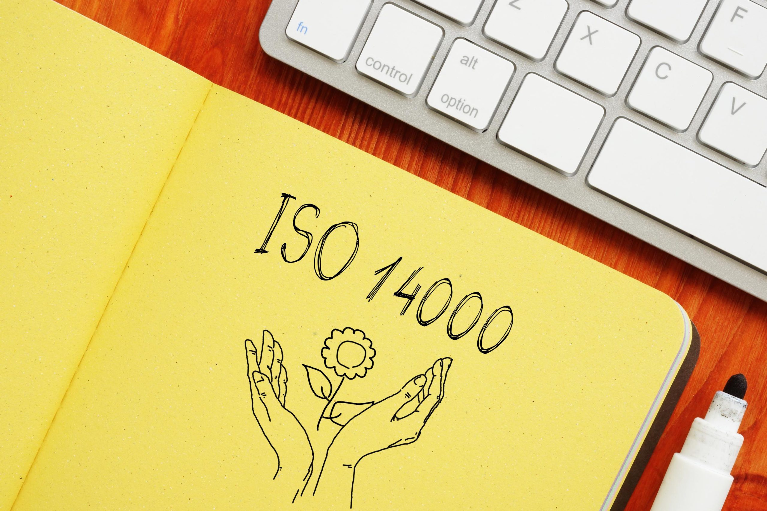 ISO 14000 คืออะไร สำคัญแค่ไหนกับธุรกิจขนาดเล็ก