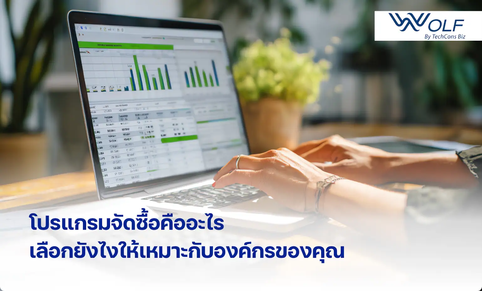 โปรแกรมจัดซื้อ